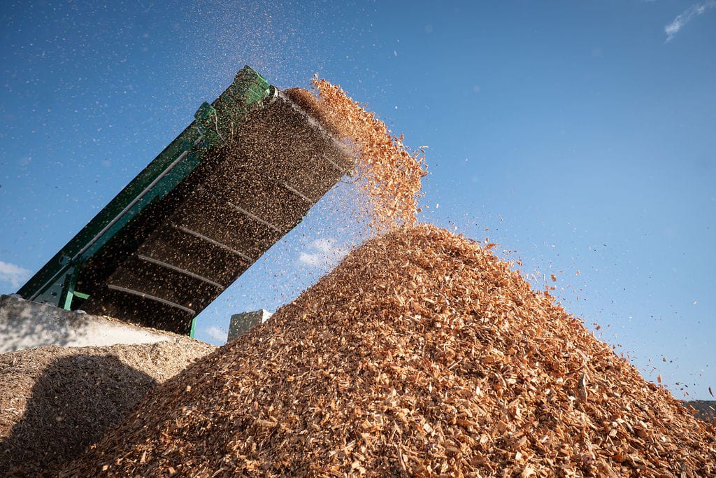 Jarní sezóna je tady: Prvotřídní okrasná štěpka pro vaši zahradu skladem: STEPKA P1103114 M