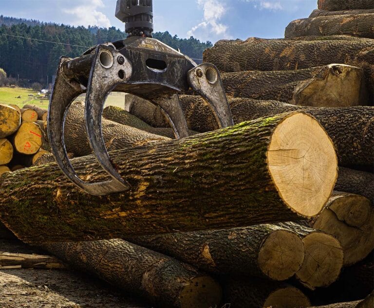 Úvod: Vykup kulatina 3